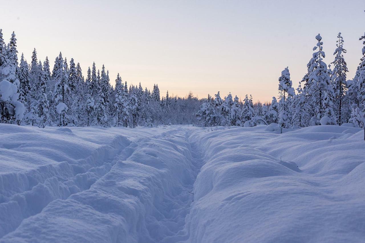 Terra Ultima Vila Rovaniemi Exterior foto