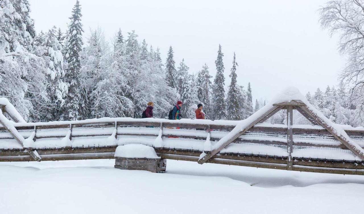 Terra Ultima Vila Rovaniemi Exterior foto
